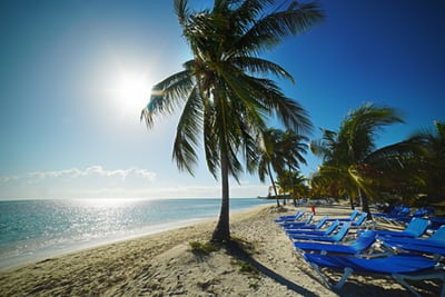 palm trees swaying in the wind on the beach in nassau bahamas