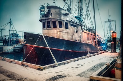 fishing vessel docked in victoria harbour
