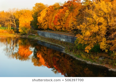 fall tree colors london