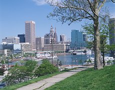 view of the city from a park in baltimore maryland
