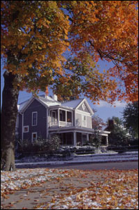 colorfull mature tree with large house in background in fayetteville north carolina usa.