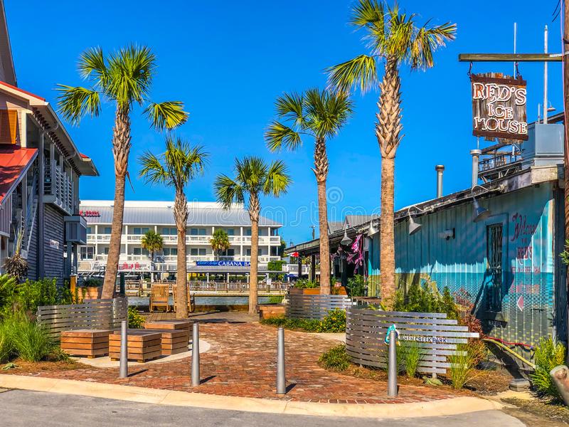palm trees with city buildings in background in mount pleasnat south carolina usa